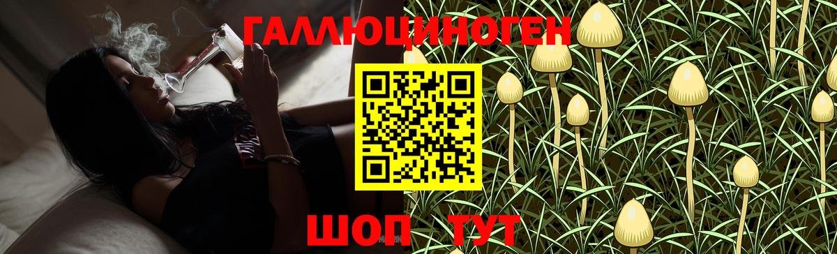 Новотроицк  Галлюциногенные грибы Psilocybine cubensis  Вход с VPN 